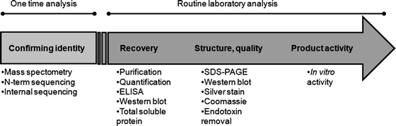 1790674223524528128-recombinant-protein-drug-analysis-3.png
