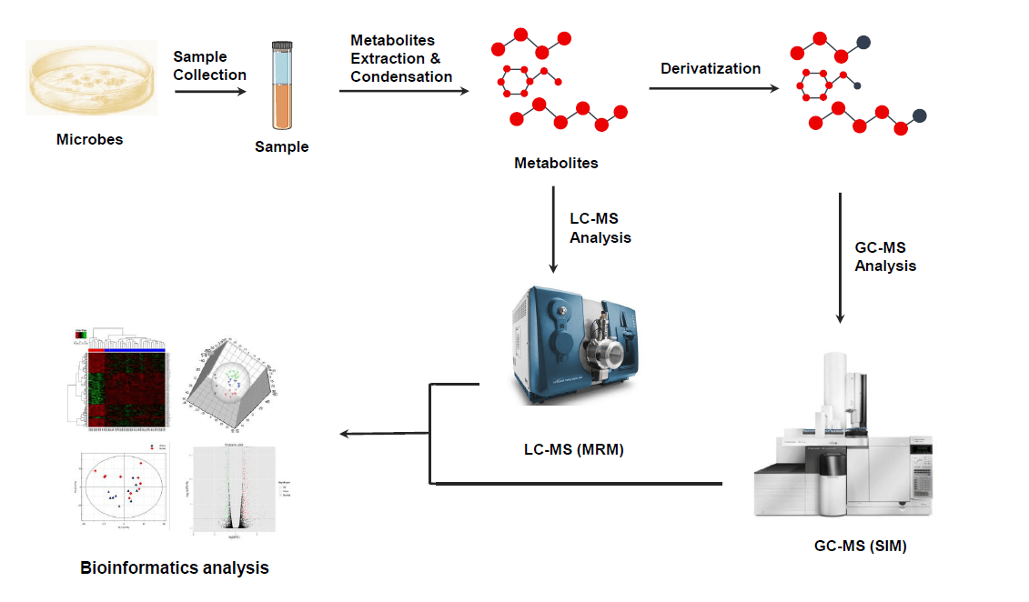 microbial-metabolomics1.png