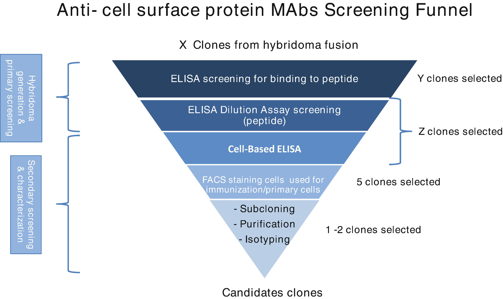 monoclonal-sequencing-and-recombinant-expression-of-cell-lines3.png