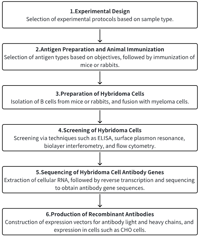 monoclonal-sequencing-and-recombinant-expression-of-cell-lines5.png