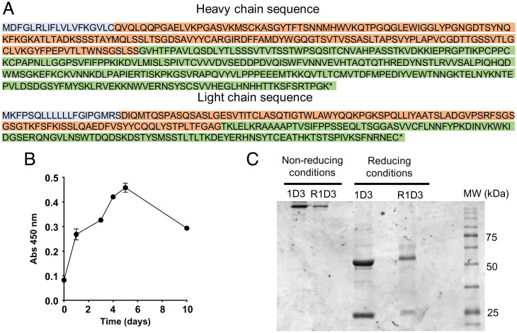 monoclonal-sequencing-and-recombinant-expression-of-cell-lines7.png