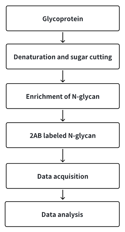 n-glycan-profiling2.png