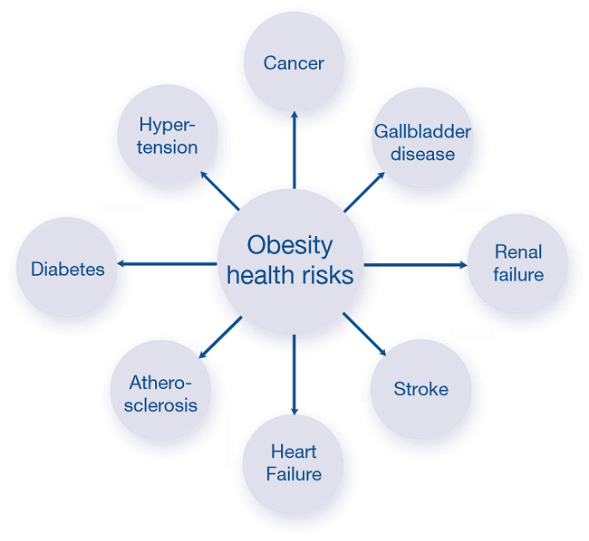 obesity-related-immune-factors1.png