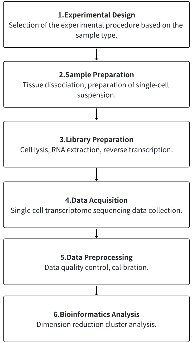 other-applications-of-single-cell-sequencing10.png