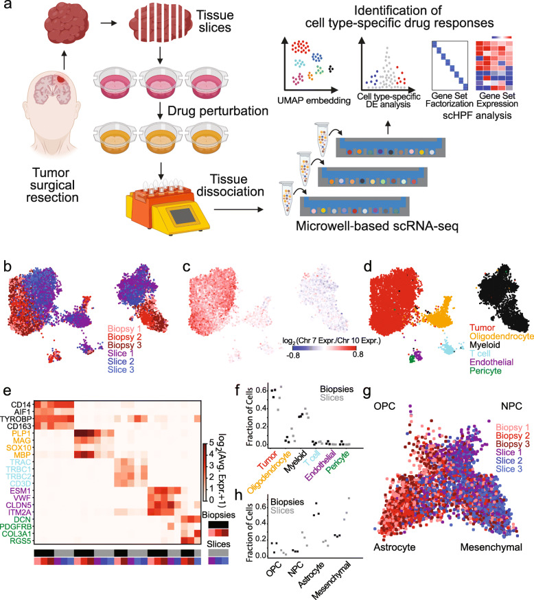 other-applications-of-single-cell-sequencing13.png
