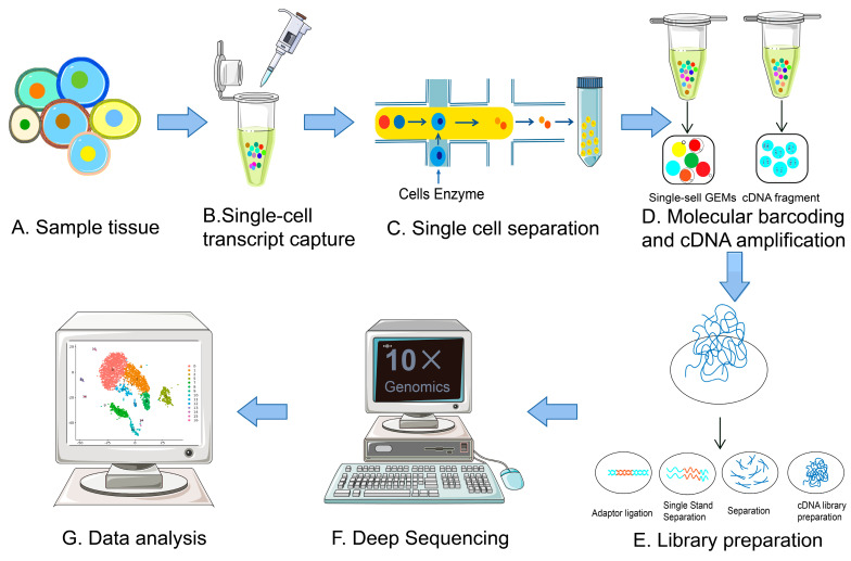 other-applications-of-single-cell-sequencing2.png