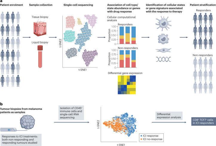 other-applications-of-single-cell-sequencing5.png
