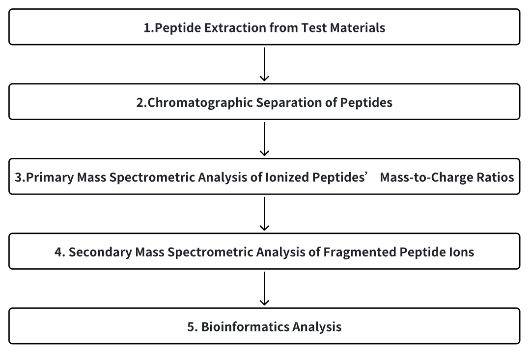 peptide-mass-spectrometry-identification2.png