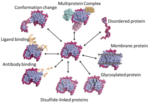 protein-and-protein-binding-site-analysis1.png