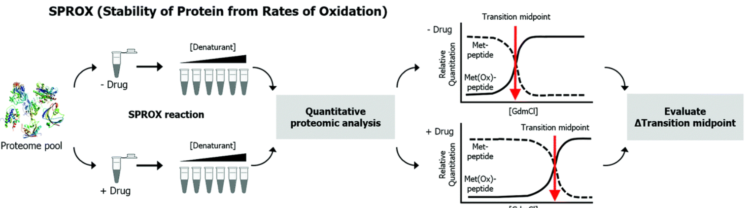stability-of-proteins-from-rates-of-oxidation-sprox1.png