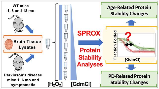 stability-of-proteins-from-rates-of-oxidation-sprox6.png